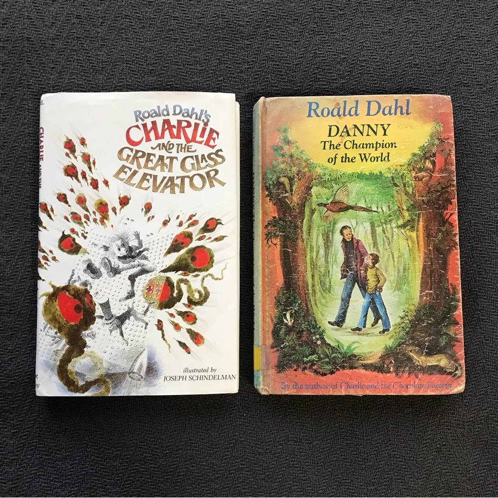 Vintage Roald Dahl Charlie and the Great Glass Elevator Danny the Champion World